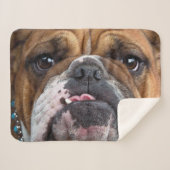 Sierkussen Engelse Bulldog Sherpa Deken (Voorkant (horizontaal))