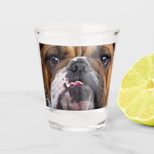 Sierkussen Engelse Bulldog Shot Glas (Voorkant)