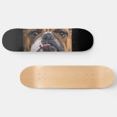 Sierkussen Engelse Bulldog Skateboard (Horizontaal)
