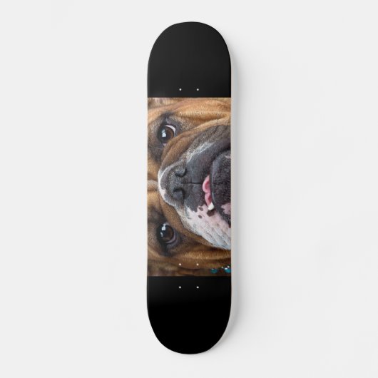 Sierkussen Engelse Bulldog Skateboard (Voorkant)