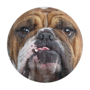 Sierkussen Engelse Bulldog Snijplank