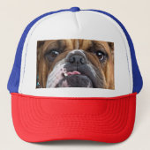 Sierkussen Engelse Bulldog Trucker Pet (Voorkant)
