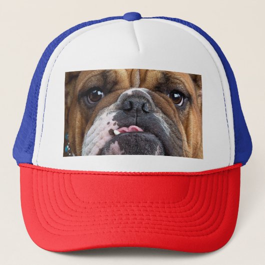 Sierkussen Engelse Bulldog Trucker Pet (Voorkant)