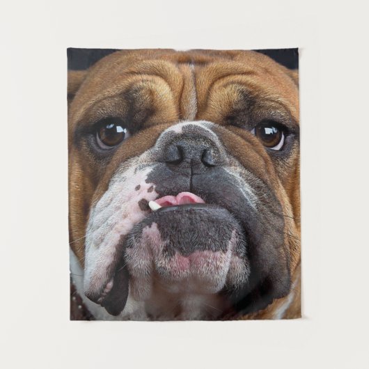Sierkussen Engelse Bulldog Wandkleed (Voorkant)