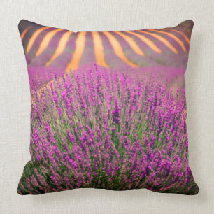 Sierkussen Lavender Field