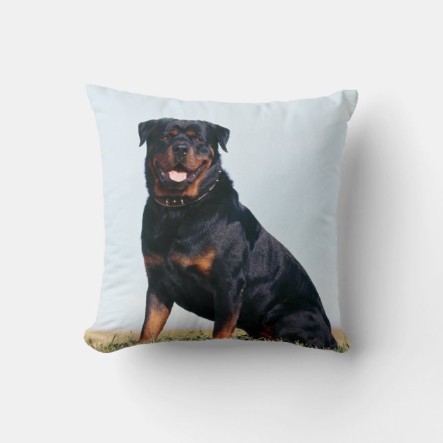 Sierkussen Rottweiler Portret Square (Voorkant)