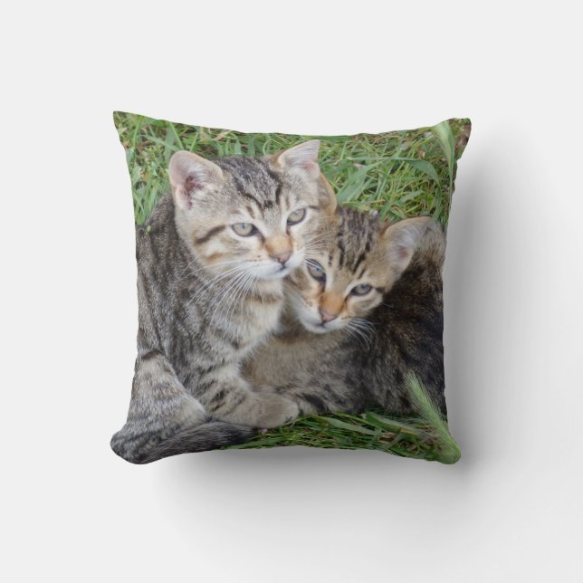 Sierkussen Tabby Sisters (Voorkant)