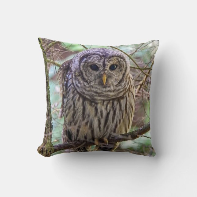 Sierkussen van Barred Owl (Voorkant)