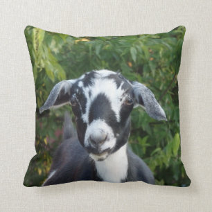 Sierkussen van de miniatuurgeit van Nubian