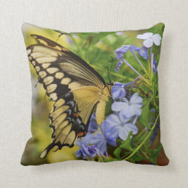 Sierkussen van de swallowtail Butterfly