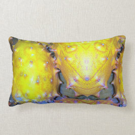 Sierkussen van drakenvruchten kussen