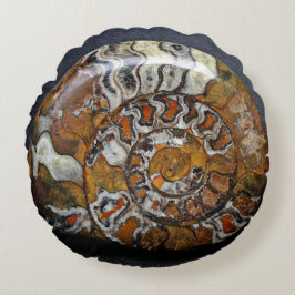 Sierkussen van schitterende ronde slakken rond kussen