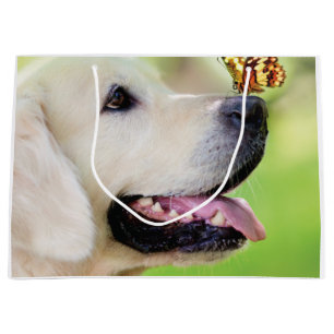 Sierkussen voor labrador en vlinder groot cadeauzakje