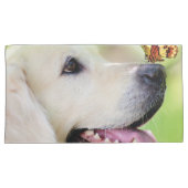 Sierkussen voor labrador en vlinder kussensloop (Voorkant-Rechts)