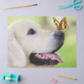 Sierkussen voor labrador en vlinder tissuepapier (Craft)