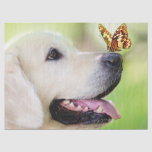 Sierkussen voor labrador en vlinder tissuepapier