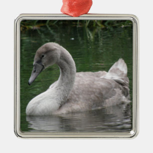 Sierlijk Zwanenbeeld op het Water Metalen Ornament