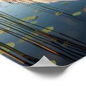 Sierlijke Amerikaanse witte pelikaan in serene wet Poster (Hoek)