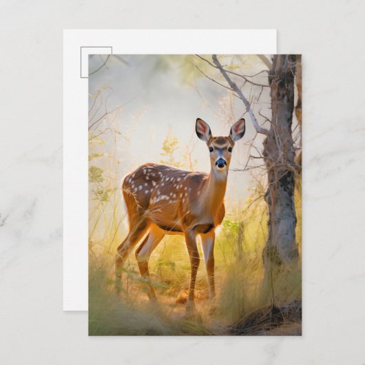 Sierlijke herten in het bos Natuur ontwerp Briefkaart (Voorkant / Achterkant)