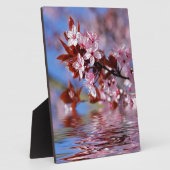 Sierlijke kersenboom bloesems fotoplaat (Zijkant)