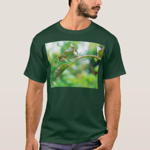 Sierlijke Wespspin - Leucauge venusta T-shirt