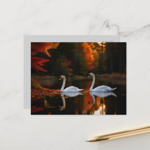 Sierlijke witte zwanen glijden over herfstvijver briefkaart