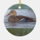 Sierobject Wilde Eend Keramisch Ornament (Voorkant)