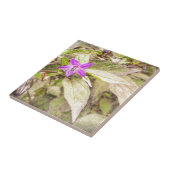 sierpannen tegeltje (Zijkant)