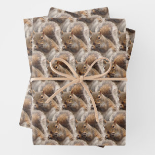 Sierpapier met charmante bos eekhoorn inpakpapier vel