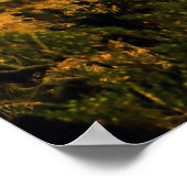 Sierra del Carmen Octillo Poster (Hoek)