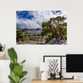 Sierra Juniper and Evergreen Trees Poster (Thuiskantoor)