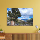 Sierra Juniper en Evergreen Trees 2 Canvas Afdruk (Insitu (Woonkamer))