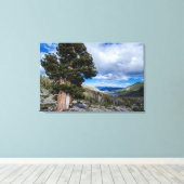 Sierra Juniper en Evergreen Trees 2 Canvas Afdruk (Insitu (Houten vloer))
