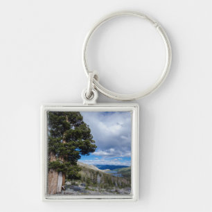 Sierra Juniper en Evergreen Trees 2 Sleutelhanger
