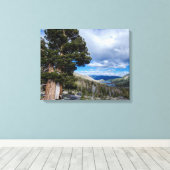 Sierra Juniper en Groene Bomen 2 Canvas Afdruk (Insitu (Houten vloer))