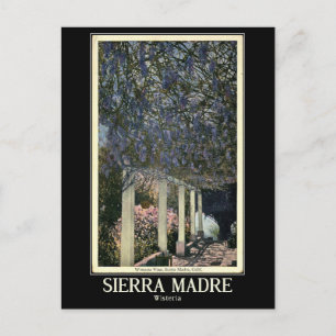 Sierra Madre, Californië, Vintage Briefkaart