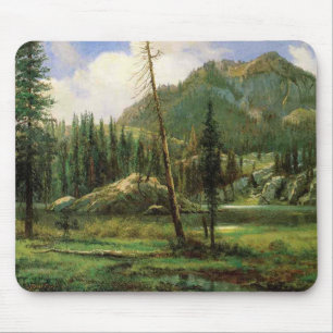Sierra Nevada-bergen (Amerikaans bosland) Muismat