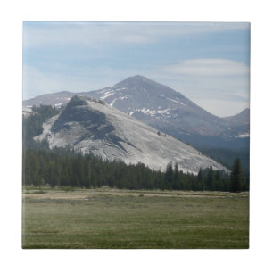 Sierra Nevada bergen III Nationaal Park Yosemite Tegeltje