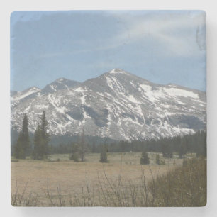 Sierra Nevada-gebergte I vanuit Yosemite Stenen Onderzetter