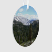 Sierra Nevada Mountains II de Yosemite (devant)