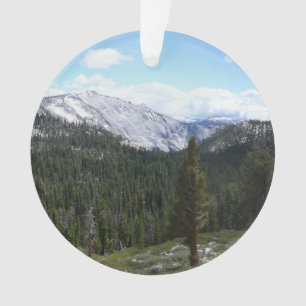 Sierra Nevada Mountains II de Yosemite