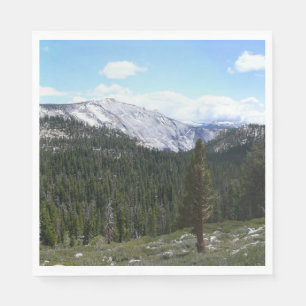 Sierra Nevada Mountains II vanuit Yosemite Servet