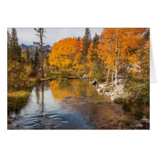 Sierra orientale, Bishop Creek, sortie de Californ