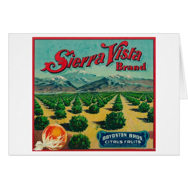 Sierra Vista Marque Étiquette Citrus Crate (Devant horizontal)