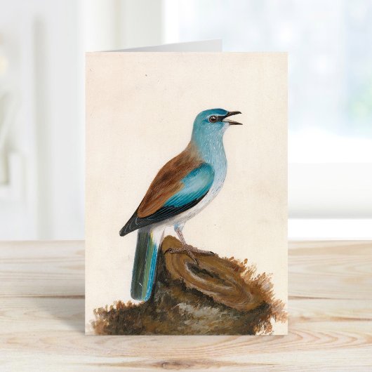 sierrol | William Lewin Kaart