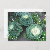 siersteen briefkaart (Voorkant / Achterkant)