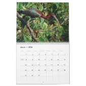 Siesta Key Birds - Calendrier 2022 (Mar 2026)