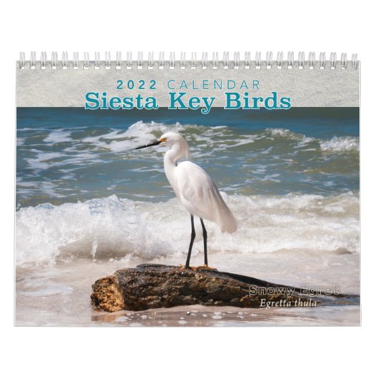 Siesta Key Birds - Calendrier 2022 (Protection)