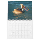 Siesta Key Birds - Calendrier 2022 (Jan 2027)