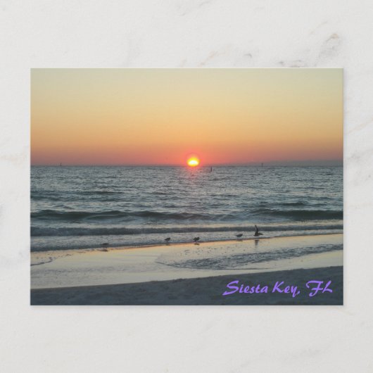 Siesta Key Florida Sunset Briefkaart (Voorkant)